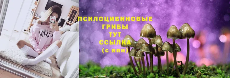 как найти закладки  Оханск  Галлюциногенные грибы Cubensis 